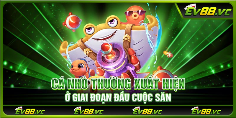 Cá nhỏ thường xuất hiện ở giai đoạn đầu cuộc săn