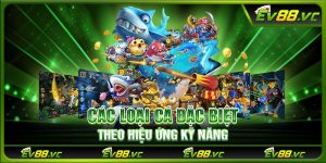 Các loại cá đặc biệt theo hiệu ứng kỹ năng
