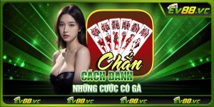 Cách đánh những cước có gà