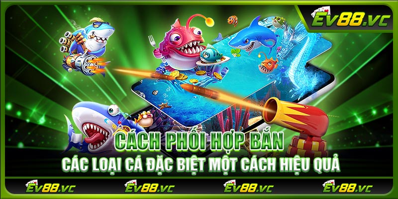 Cách phối hợp bắn các loại cá đặc biệt một cách hiệu quả