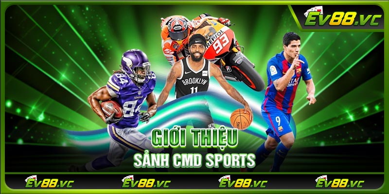 Giới thiệu sảnh CMD Sports