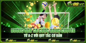 Hướng dẫn cá cược bóng chuyền từ a-z với quy tắc cơ bản
