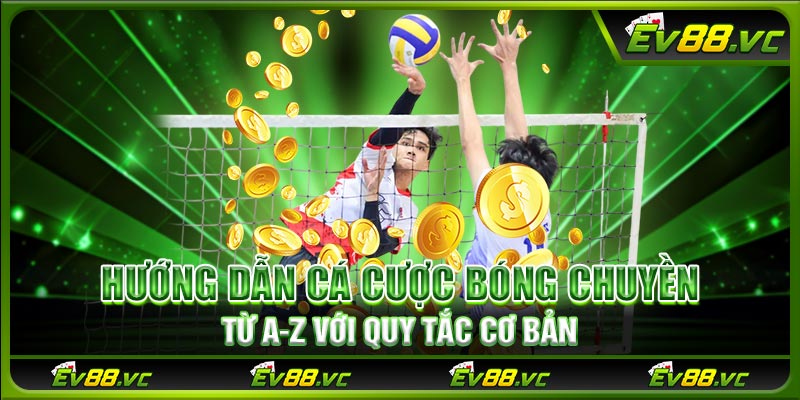Hướng dẫn cá cược bóng chuyền từ a-z với quy tắc cơ bản