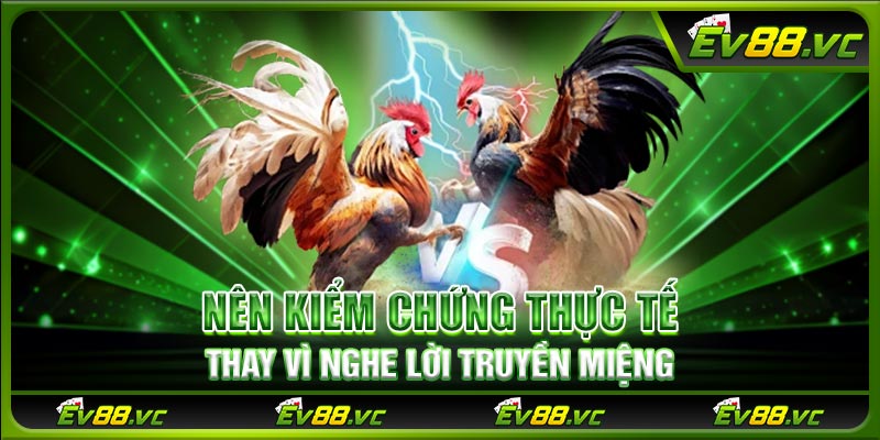 Nên kiểm chứng thực tế thay vì nghe lời truyền miệng