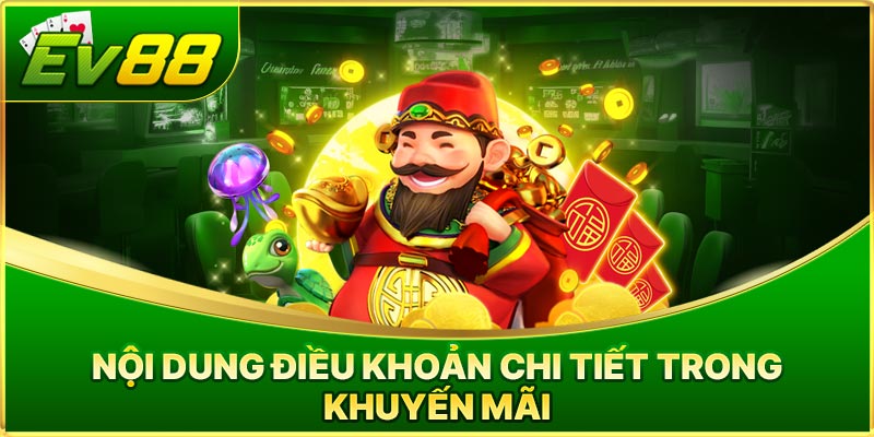 Nội dung điều khoản chi tiết trong khuyến mãi 