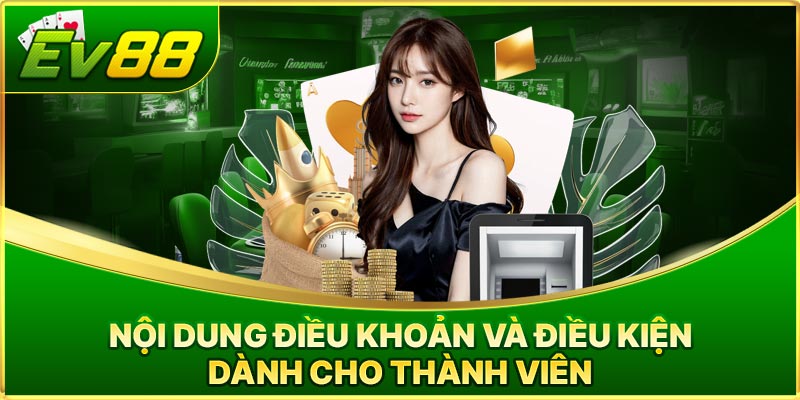 Nội dung điều khoản và điều kiện dành cho thành viên 