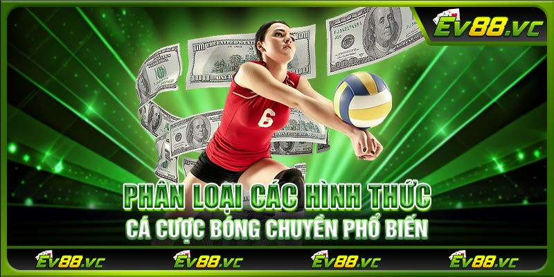 Phân loại các hình thức cá cược bóng chuyền phổ biến