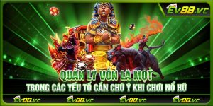 Quản lý vốn là một trong các yếu tố cần chú ý khi chơi nổ hũ