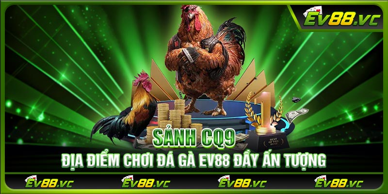 Sảnh CQ9 - Địa điểm chơi đá gà EV88 đầy ấn tượng