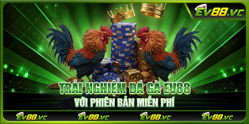 Trải nghiệm đá gà EV88 với phiên bản miễn phí